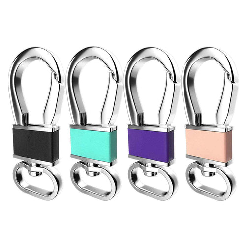 Teskyer-4-Pack-Metal-Carabiner-Key-Clip-Hook-1